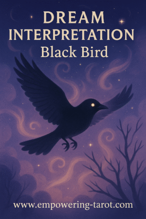 Dream Interpretation: Black Bird