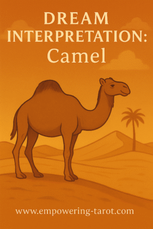 a camel standing in the hot desert sun. explaining what it means if you dream about camels.