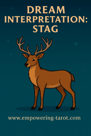 an illustration of a stag. what does it mean to dream of a stag? what does it mean to see a stag in your dream? an article on the spiritual meaning of seeing a stag in your dream.